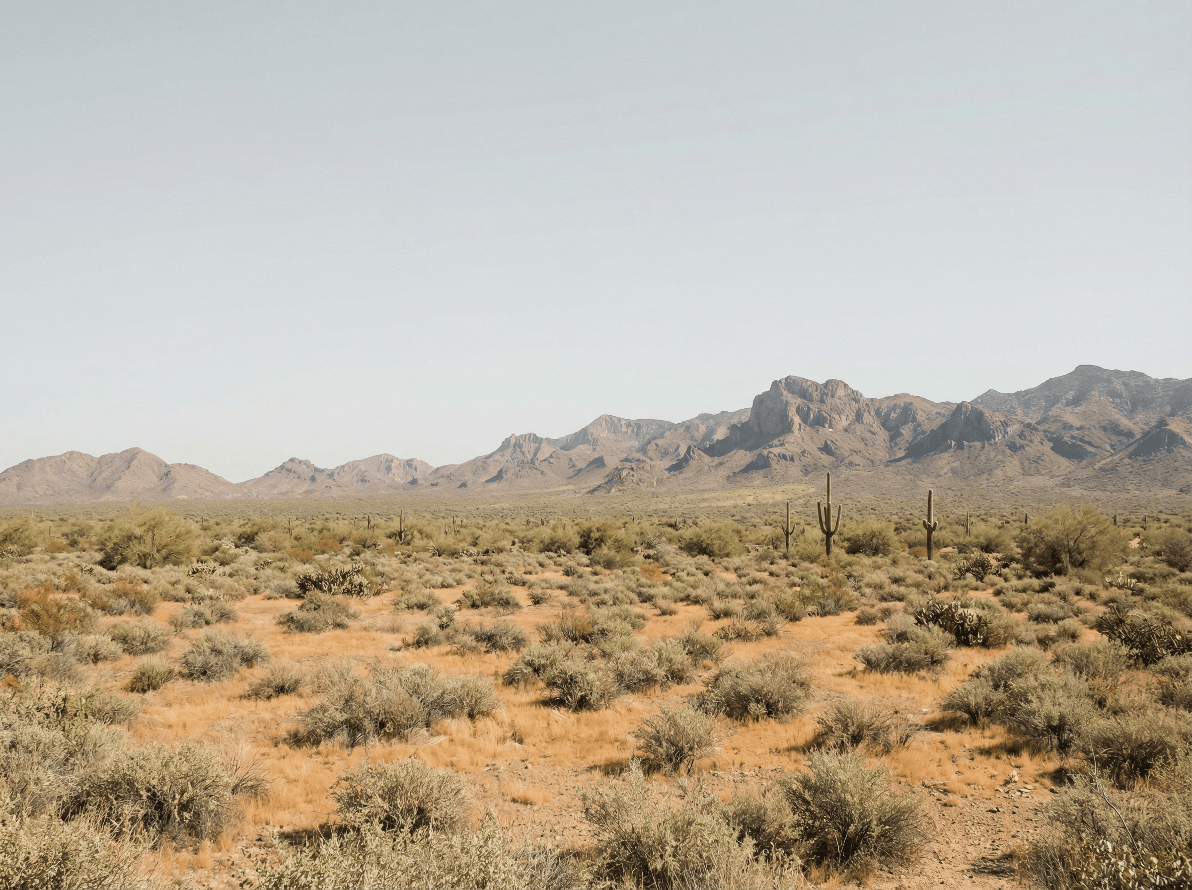 Arizona desert landscape